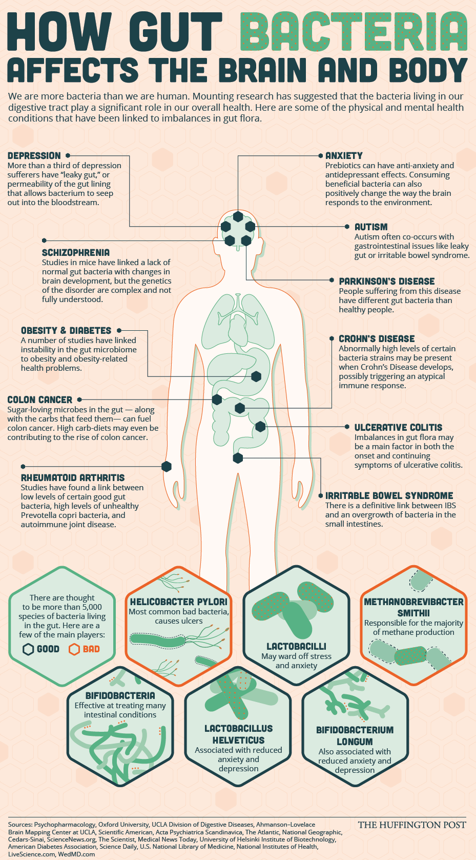 How Your Gut Health Can Effect Your Body