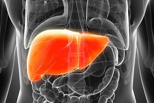 Give Your Liver Some Lovin