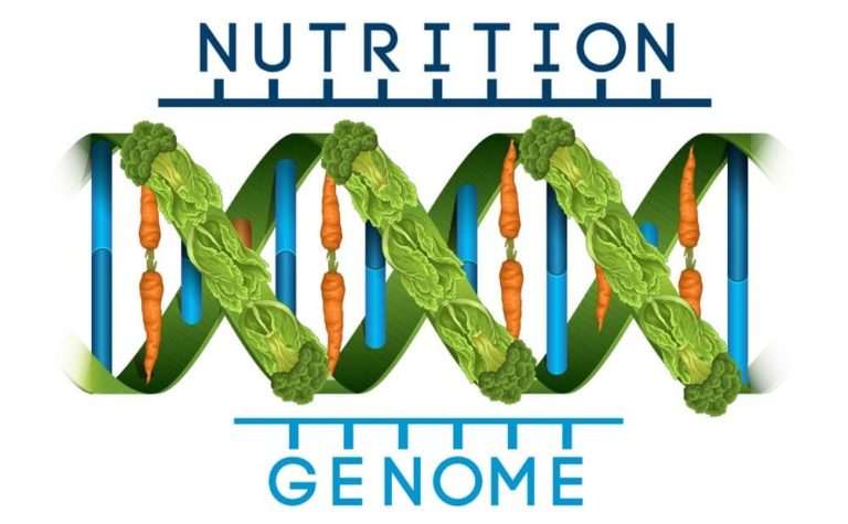 dna-nutrition-test-nutrition-genetic-testing-well-humans