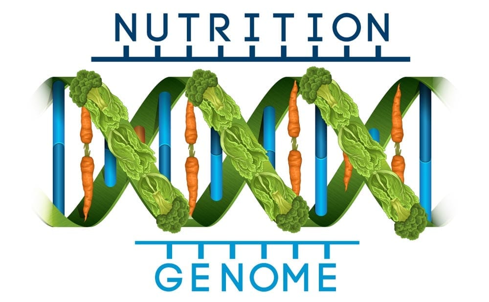 DNA Nutrition Test / Nutrition Genetic Testing / Nutritional Genomics Testing