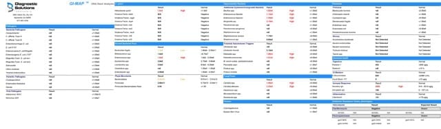 GI Map ResultsGI MAP results 2