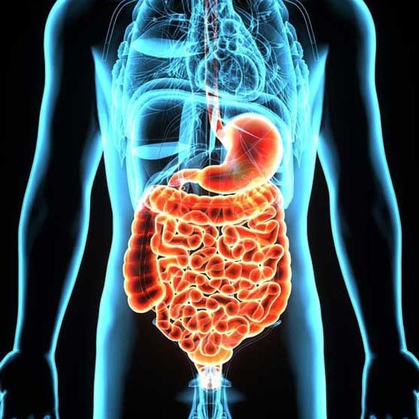 how to have a healthy gut leaky gut