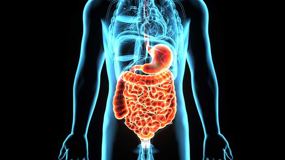 how to have a healthy gut leaky gut