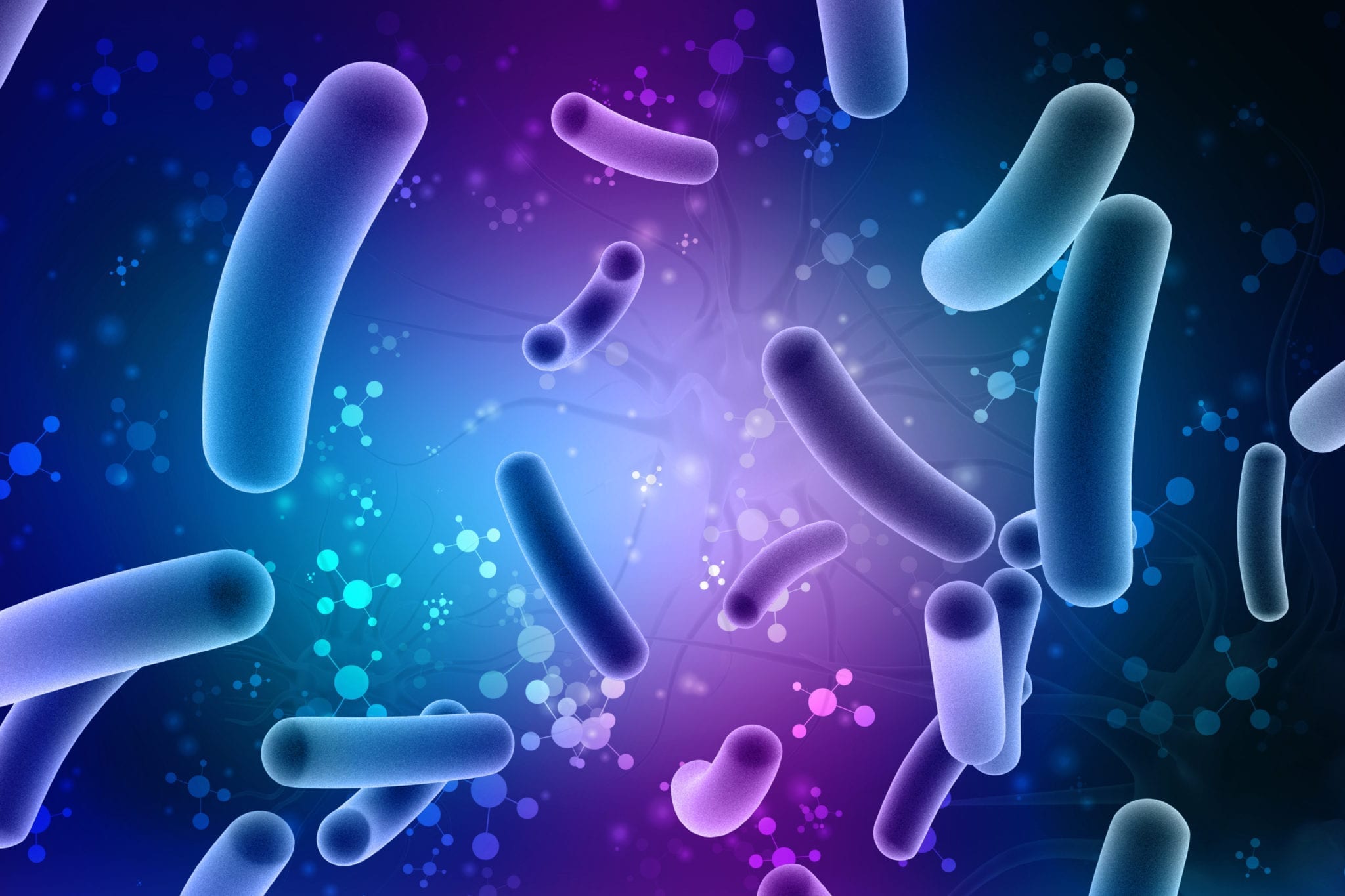 Bugs 101: Probiotics, Prebiotics, and the Microbiome