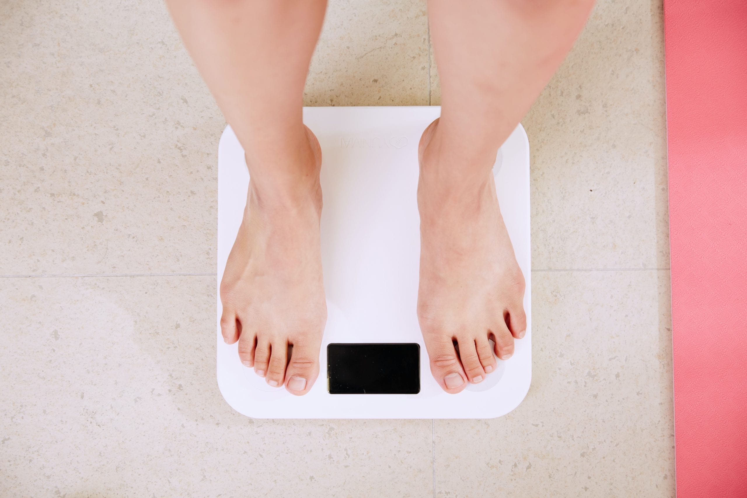 Support Your Gut To Reach Your Weight Loss Goals