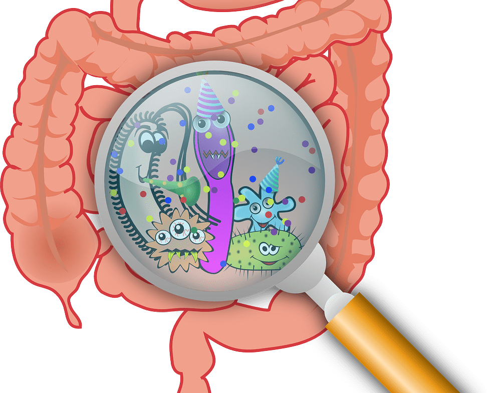 Bad Gut Bacteria