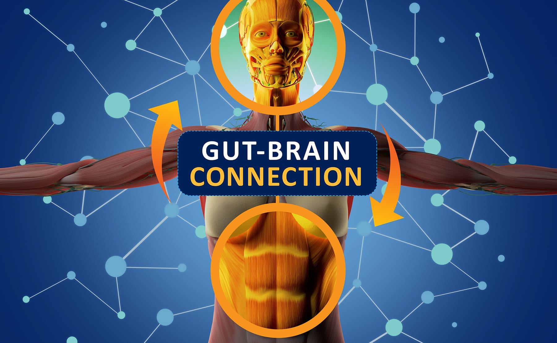 Heal Your Gut, Heal Your Brain – The Connection You Need to Know About
